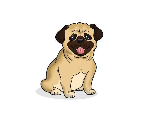 pug 5353200 640 Danwaon